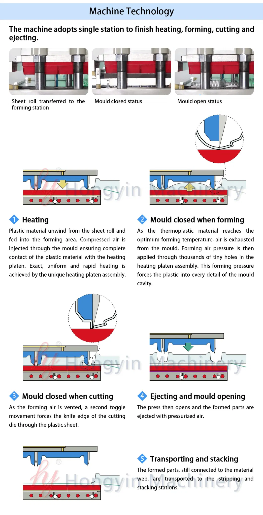 Automatic Plastic Tray Forming Plastic Polystyrene Thermoforming Machine of in-Mould Cutting Process