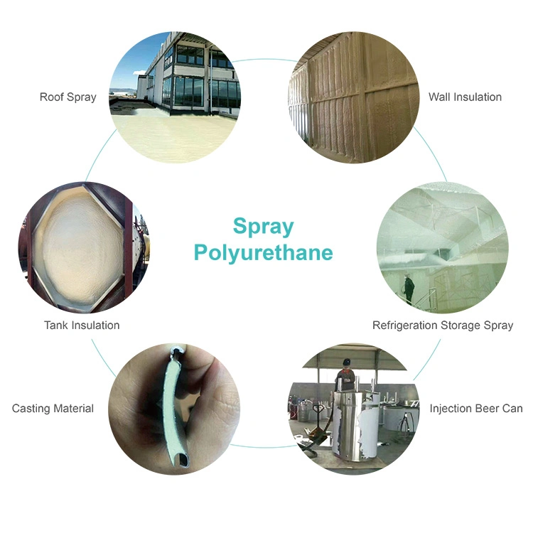 Cnmc PU Polyurethane Portable Spraying Foam Machine for Wall Insulation and Waterproof