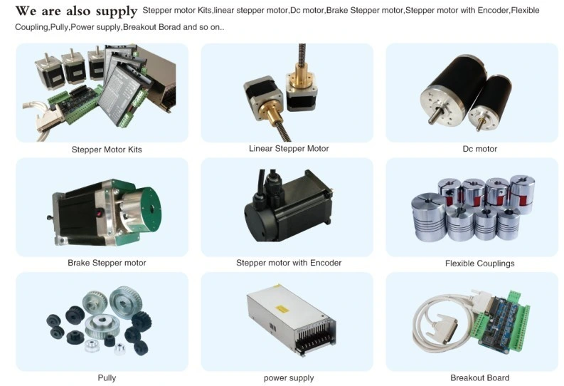 Stepper Motor From NEMA8~NEMA42 with High Quality and Competitive Price