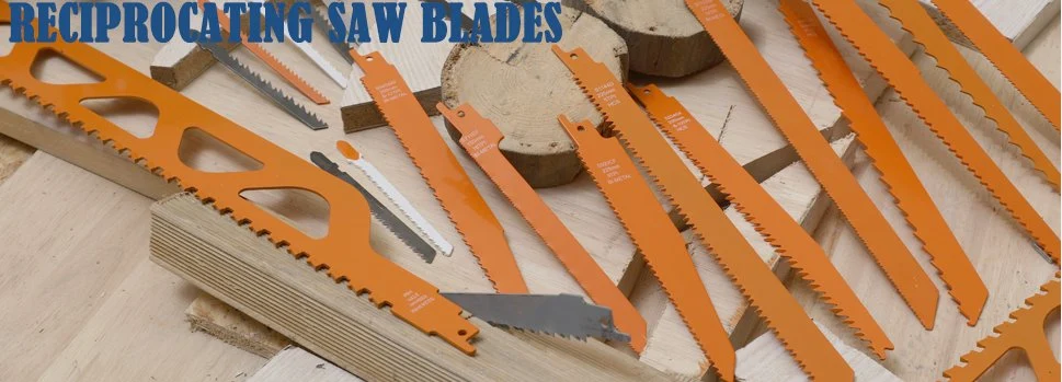 Ss Oscillating Multitool Concave Scraper Knife Segment Blade