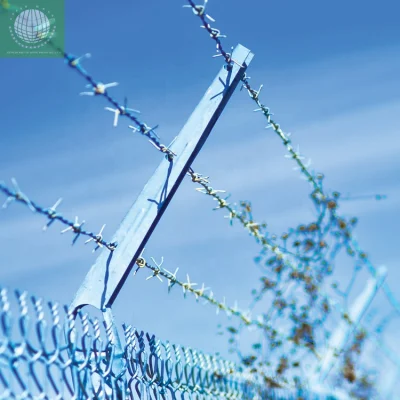 Zerun Galvanized Light Industry Daily Use Used PVC Barbed Wire Roll Price Fence Galvanized