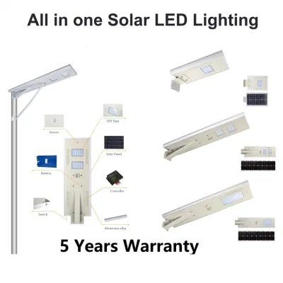Lithium Battery All in One LED Solar Pole and Street Light