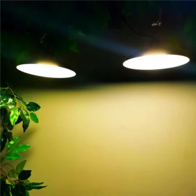 Waterproof Double 2 3 4 Head Outdoor Indoor Solar Hanging Lamp Emergency Light Solar Pendant Light