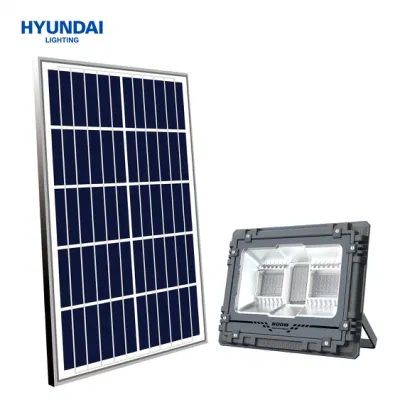 Hyundai Wholesale 60-800W IP65 Waterproof Energy Saving RGB Outdoor Solar Powered LED Garden Flood Light with Bluetooth Music Control