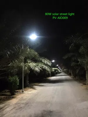 3W-120W LED Outdoor IP65 All in One Solar Power Street Road Light
