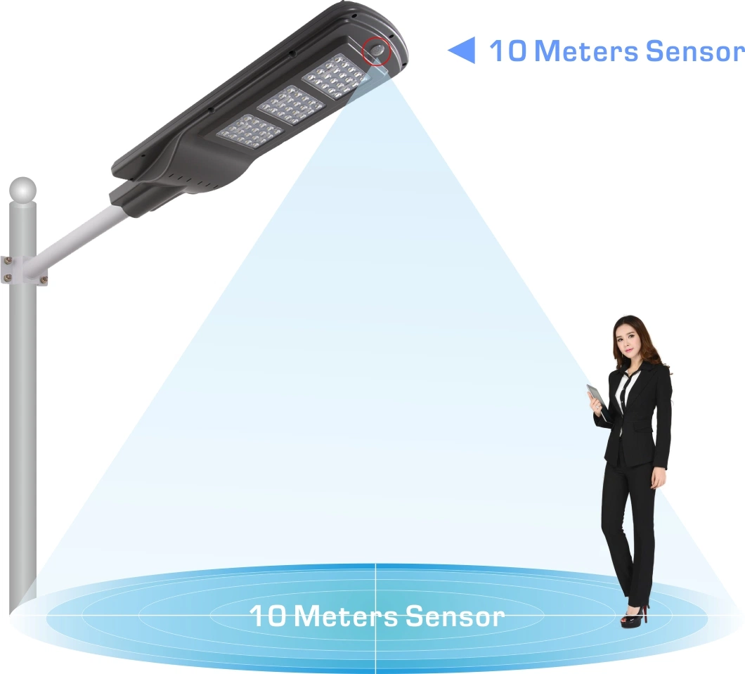 Buried Battery Position Design Solar Street Light Factory