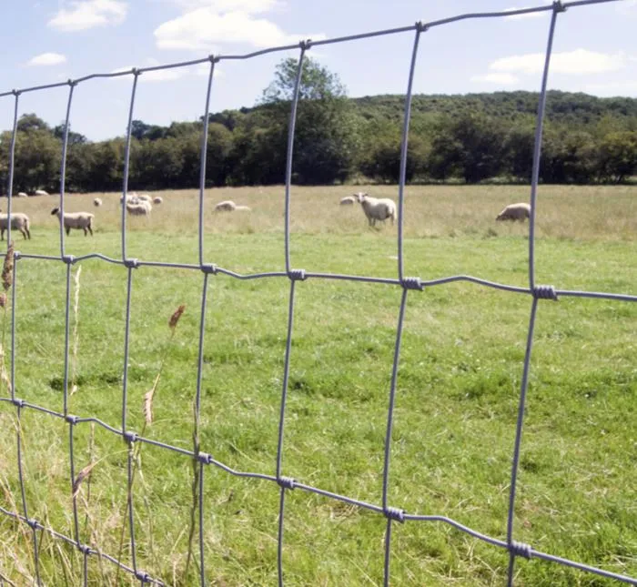 Hinge Joint Light Farm Fence for Cattle and Sheep