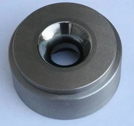 La extrusión en frío de acero de tungsteno muere de acero de tungsteno de carburo de tungsteno formando Die Die extrusión en frío de acero del tubo formando morir