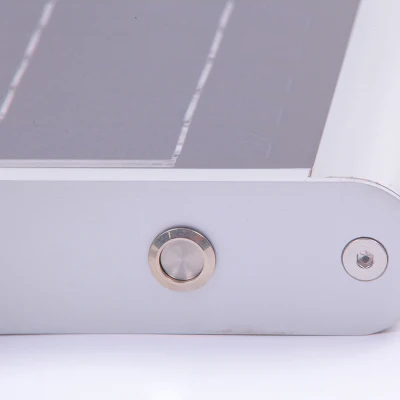 International Inc cuerpo de fundición de aluminio calle la luz solar 30W