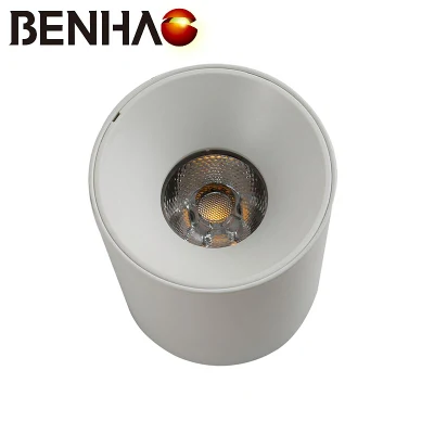 Ronda expuestos, el corredor de la luz de techo LED de luz, luz de foco en el techo del corredor de entrada, 30W Blanco SMD LED de aluminio blanco.