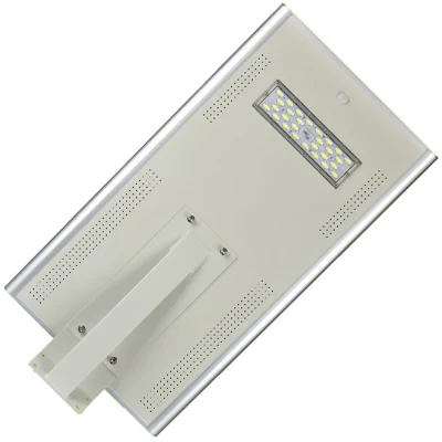 International Inc cuerpo de fundición de aluminio calle la luz solar 30W