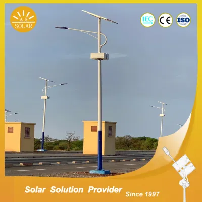 Gran cantidad de lúmenes de alto rendimiento resistente al agua de las luces de calle Solar con batería colgando del palo