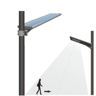 International Inc cuerpo de fundición de aluminio calle la luz solar 30W