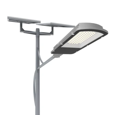 110/220/240V IP65 Jardín decorativo ilumina el LED de luz solar al por mayor