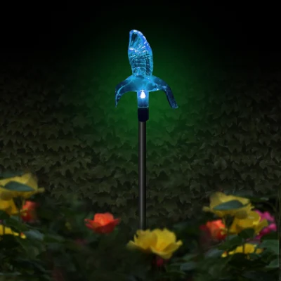 Solar jardín al aire libre colibrí Juego de cambio de color Solar luz