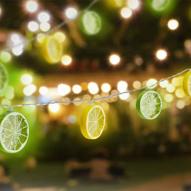 Solar LED Garden String Light for Outdoor Yard Party (RS1027)