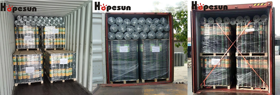 High Quality Holland Steel Welded Wire Mesh Light Fence