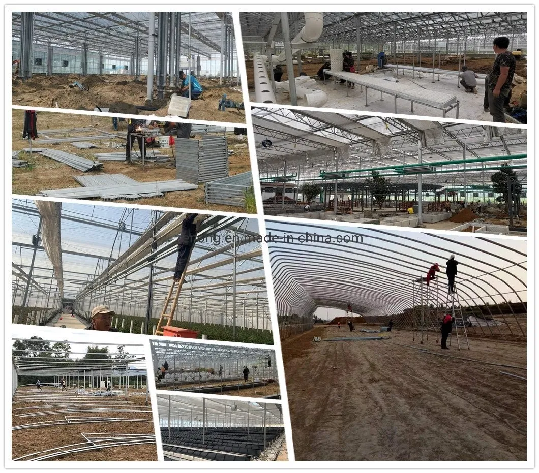 Po Plastic Film Solar Sunlight Greenhouse with Quilt for Winter Vegetable