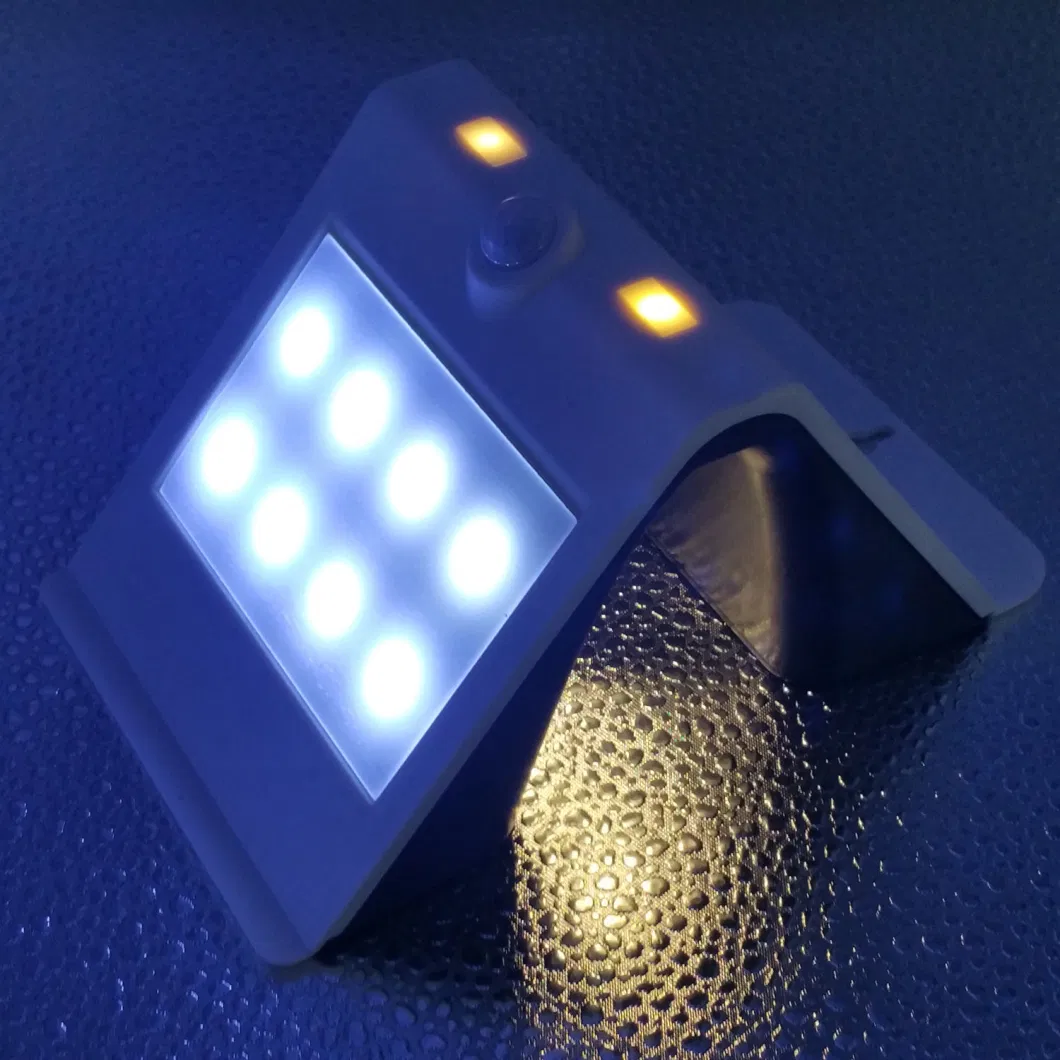 Water Proof Solar Motion Sensor Security Wall Light (RS2015)