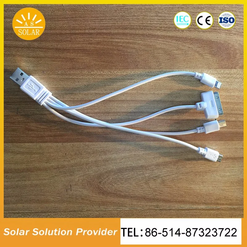 30W Home Use Solar Lighting Systems Solar Home System