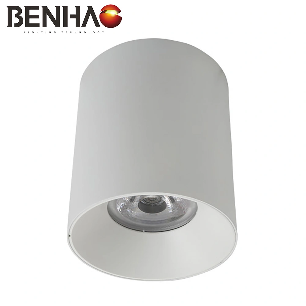 Round Exposed LED Ceiling Light, Corridor Light, Entrance Corridor Ceiling Spot Light, 30W Black Aluminum LED SMD White