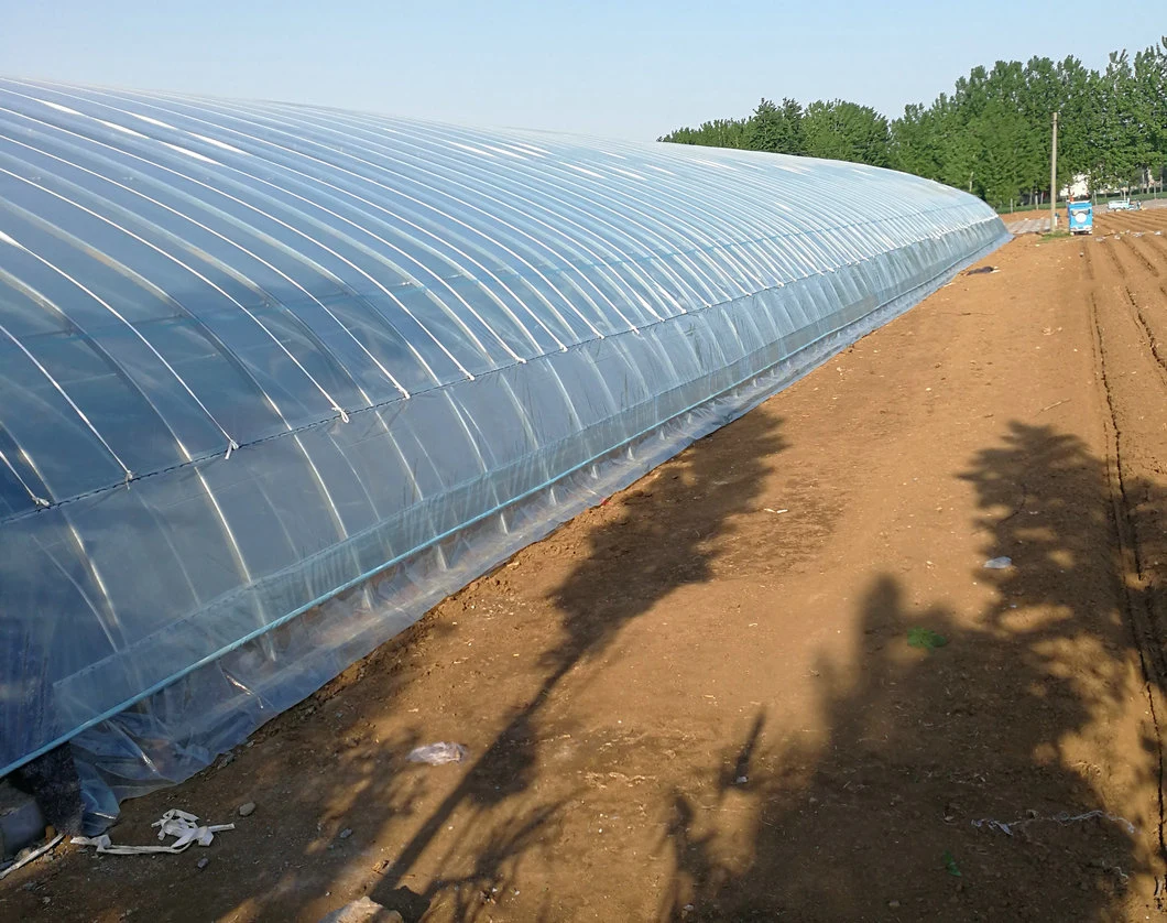 Po Plastic Film Solar Sunlight Greenhouse with Quilt for Winter Vegetable
