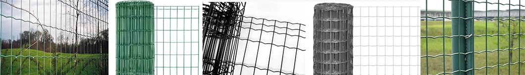 High Quality Holland Steel Welded Wire Mesh Light Fence