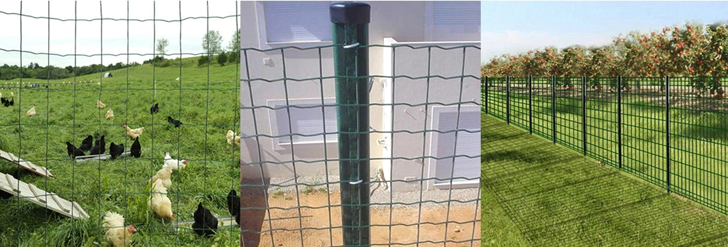 High Quality Holland Steel Welded Wire Mesh Light Fence