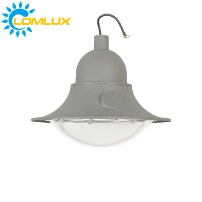 Luce di percorso per esterni IP66 40 W a lumen elevata, impermeabile, LED per giardino Leggero