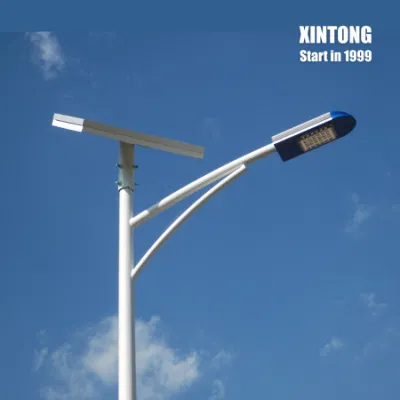 Ventola impermeabile per esterni ISO9001 IP67 30 W 60 W HPS ad alta luminosità Alloggiamento luce ibrida a risparmio energetico per la strada della turbina eolica solare LED Pressofusione di alluminio con asta