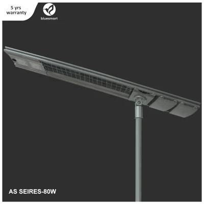 Prodotti solari per esterni integrati da 40 W, 60 W, 80 W, 100 W Una lampada LED Street Garden