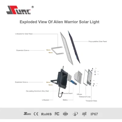 Proiettori con sensore di movimento a energia solare