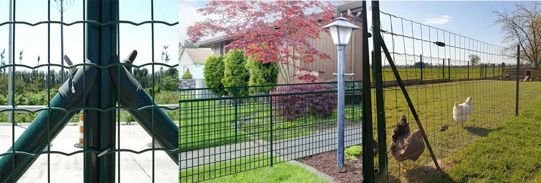 High Quality Holland Wire Mesh Light Fence