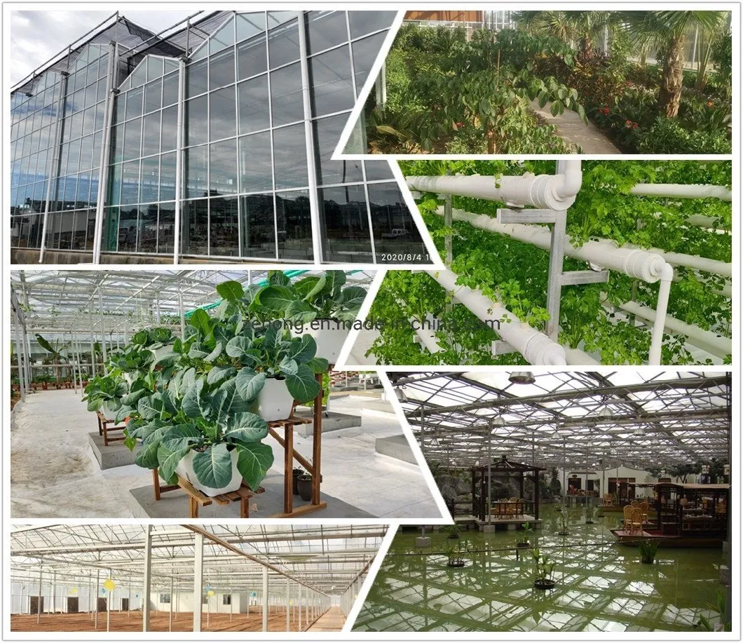 Sinking Type Sunlight Greenhouse with Plastic Film Coating for Winter Planting