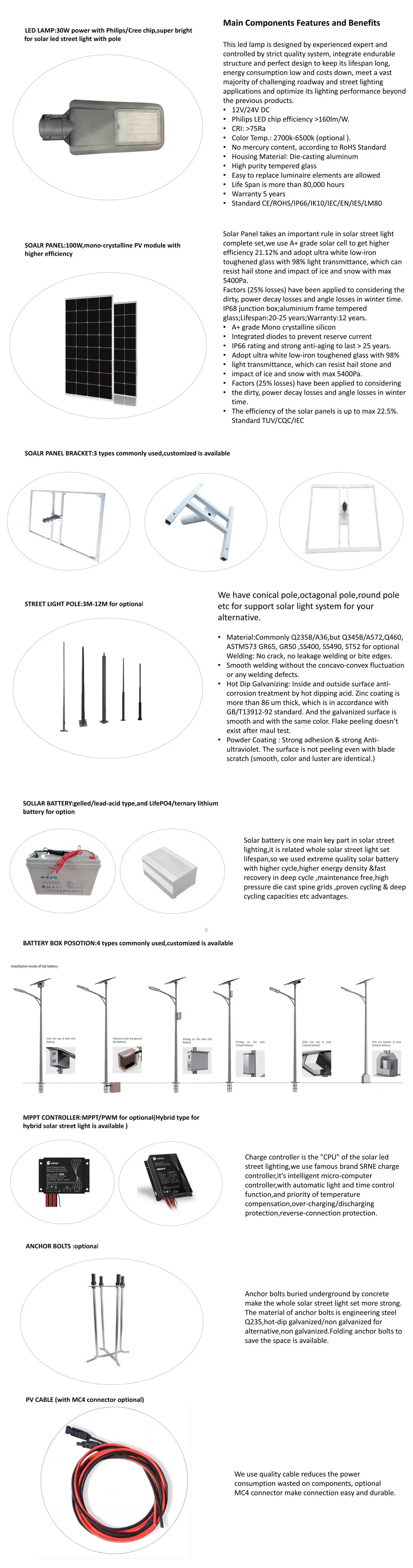 CE RoHS Coc SGS Certified Dual Solar Street Lighting System