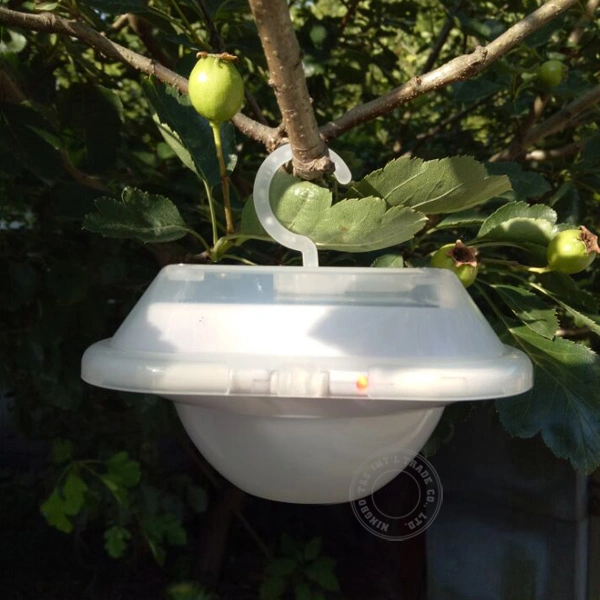 Solar Powered LED Lantern Reading Light (T7091)