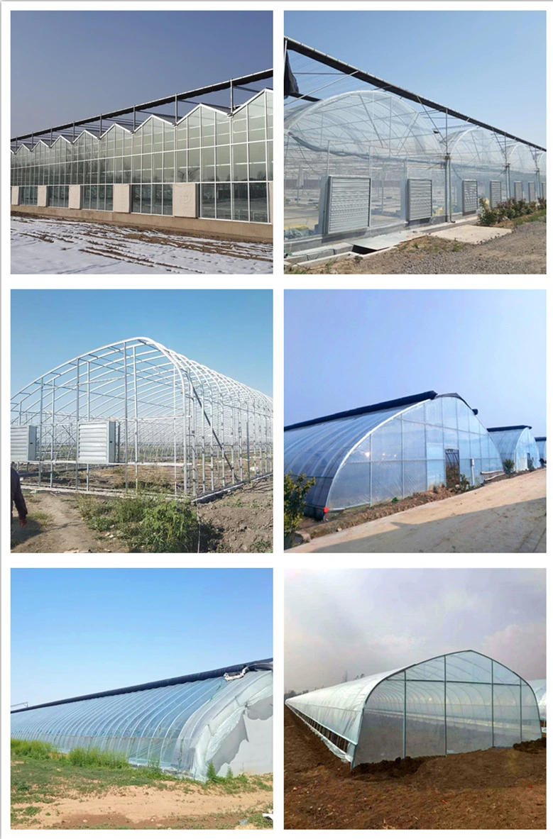 Sinking Type Sunlight Greenhouse Winter Used Solar Greenhouse with Quilts/Soil/Brick Wall