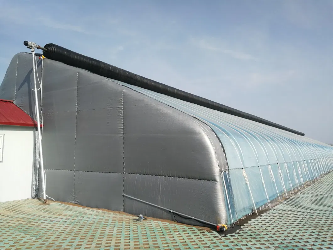 ISO Certified Newly Developed Single Slope Sunlight Film/Polycarbonate Greenhouse for Vegetable/Seedlings/Hydroponics