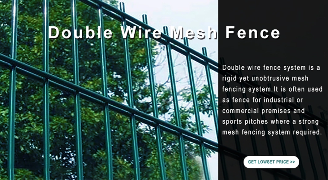 Light Green PVC Coated Wire Double Wire Fence for Highway Fence Breeding Farm