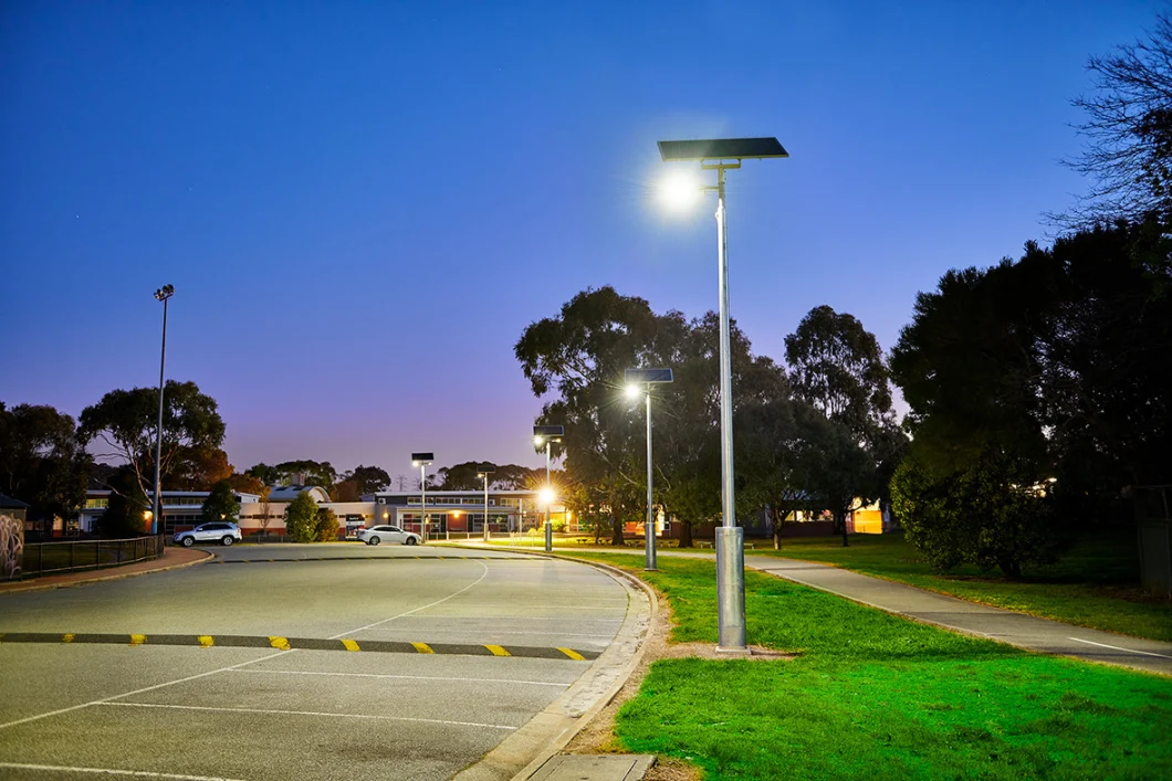 Solar LED Street Light with Solar Panel 20W~100W LED Street Light Replacement Bulbs