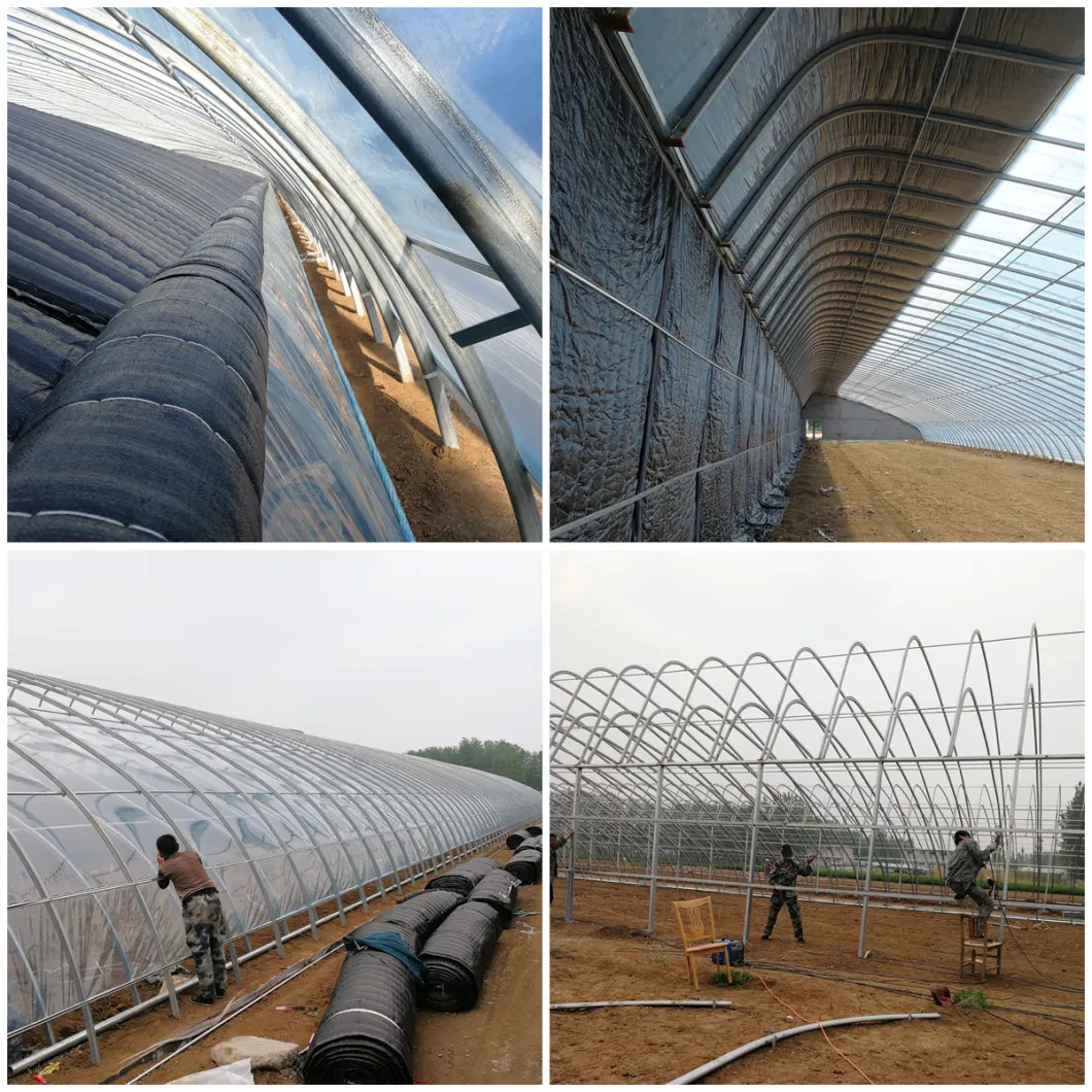 Double Arch Beam Sunlight Greenhouse with Snow Vibrator for Heavy Snow Area