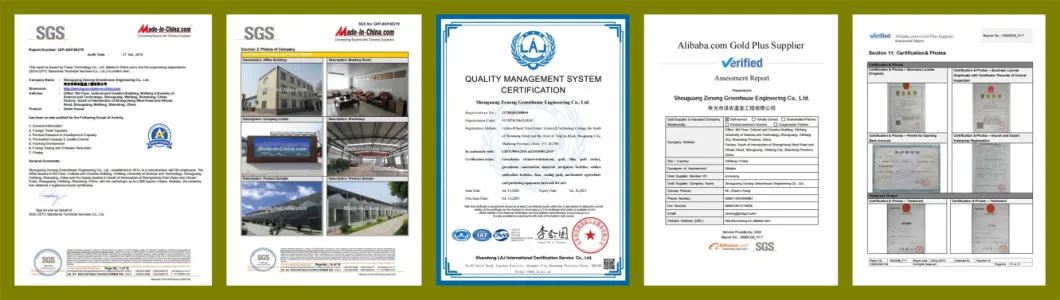 ISO Certified Newly Developed Single Slope Sunlight Film/Polycarbonate Greenhouse for Vegetable/Seedlings/Hydroponics