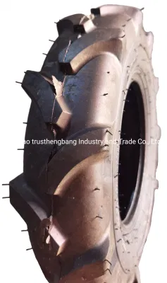  China Cheap Agricultural Farm Tractor Tire 4.00-10 5.00-10 5.00-12 6.00-12 6.50-12 with Metal Rim Russia and Belarus Market