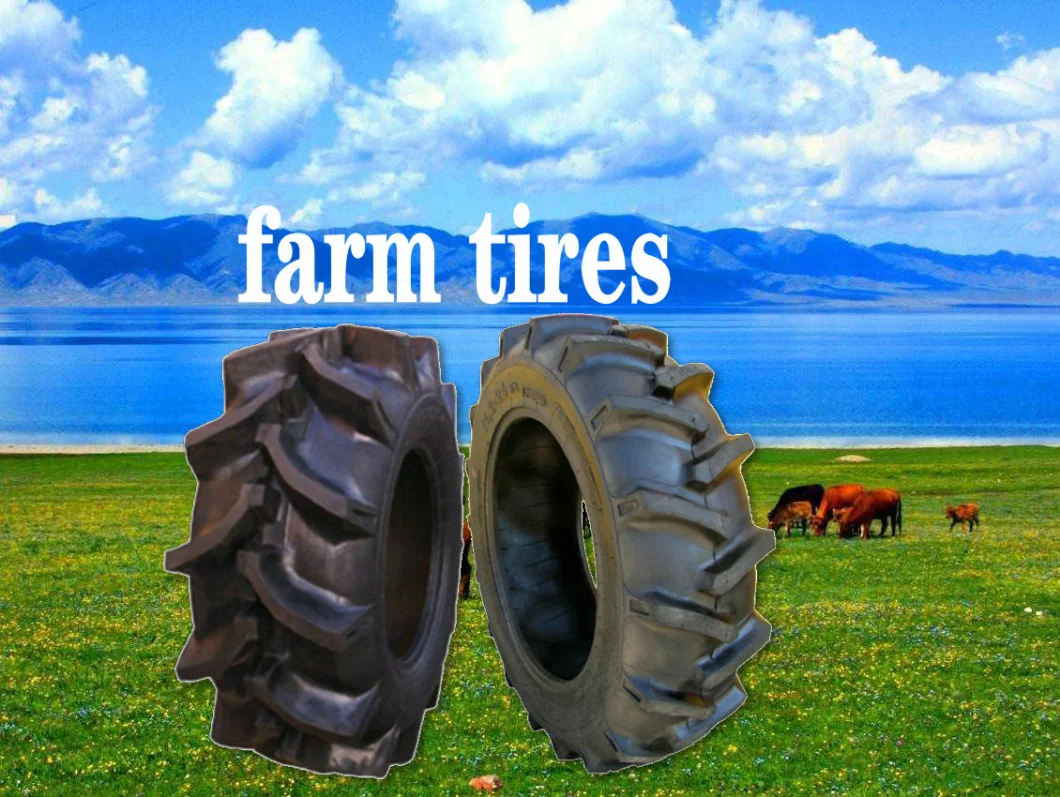 Top Brand Agricultural 3 Rib Agr Tire/ Farming Tires / Tractor Tyres (4.00-12, 4.00-16, 6.00-16, 6.50-16, 7.50-16) with DOT, ISO,