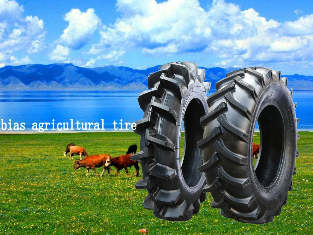 Top Brand Agricultural 3 Rib Agr Tire/ Farming Tires / Tractor Tyres (4.00-12, 4.00-16, 6.00-16, 6.50-16, 7.50-16) with DOT, ISO,