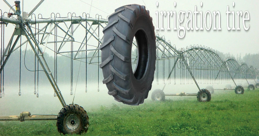 Top Brand Agricultural 3 Rib Agr Tire/ Farming Tires / Tractor Tyres (4.00-12, 4.00-16, 6.00-16, 6.50-16, 7.50-16) with DOT, ISO,