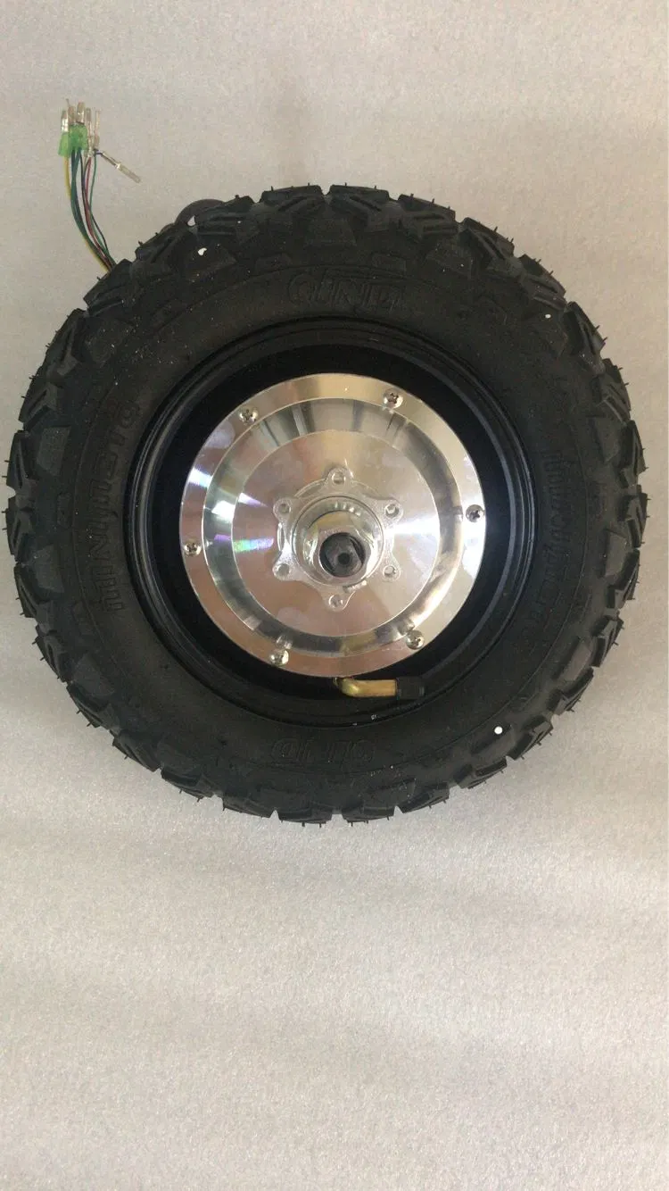 2020 Hot Sell 10 Inch Brushless 23n. M 5km/H Electric Hub Motor Wheel