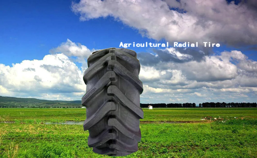 Top Brand Agricultural 3 Rib Agr Tire/ Farming Tires / Tractor Tyres (4.00-12, 4.00-16, 6.00-16, 6.50-16, 7.50-16) with DOT, ISO,