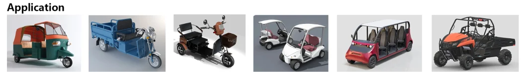 Electric Rickshaw Rear Transaxle with Differential Motor Electric Axle 1000W 1200W 1500W