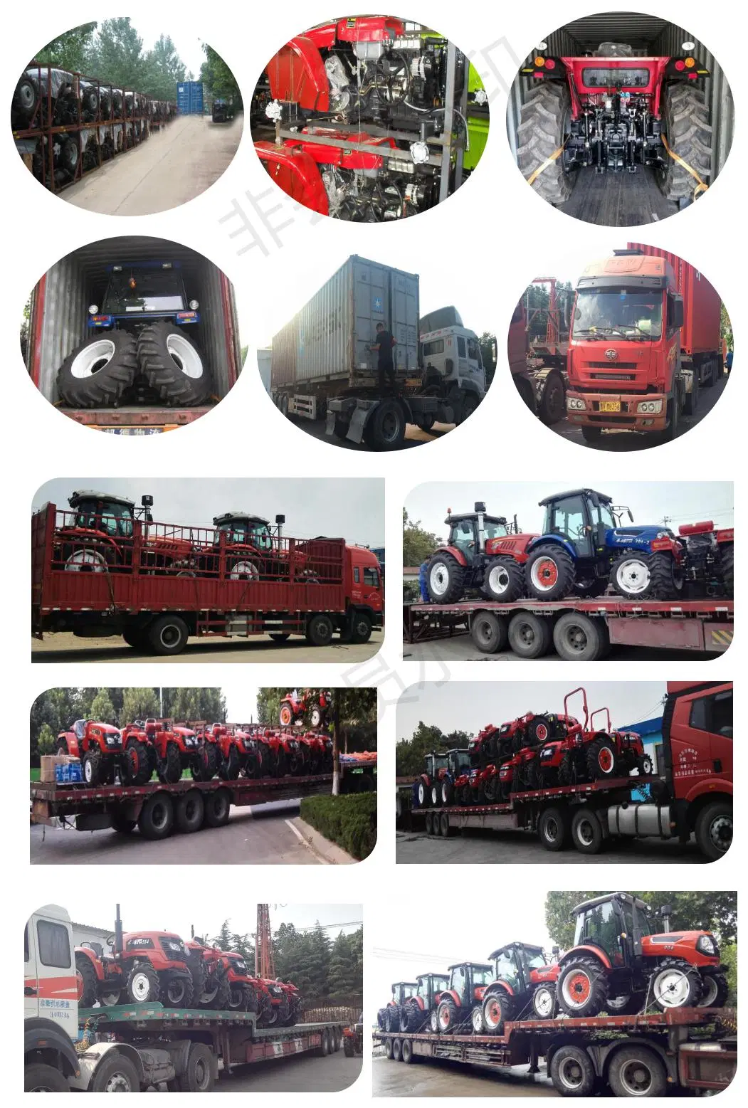 Taihong 40HP, 45HP, 50HP, 55HP 2WD/4WD Mini/Small/Large Agricultural Wheel Farm Tractor with Wider Tyres